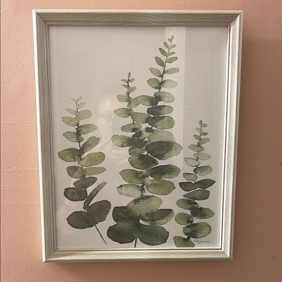Framed Eucalyptus Botanical Art Print - Picture 1 of 1